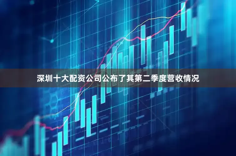 深圳十大配资公司公布了其第二季度营收情况